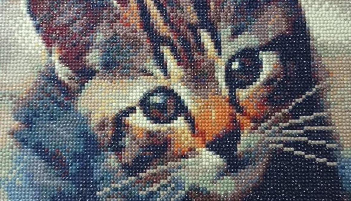 201353824_149385867141132_857447026645982818_n-001