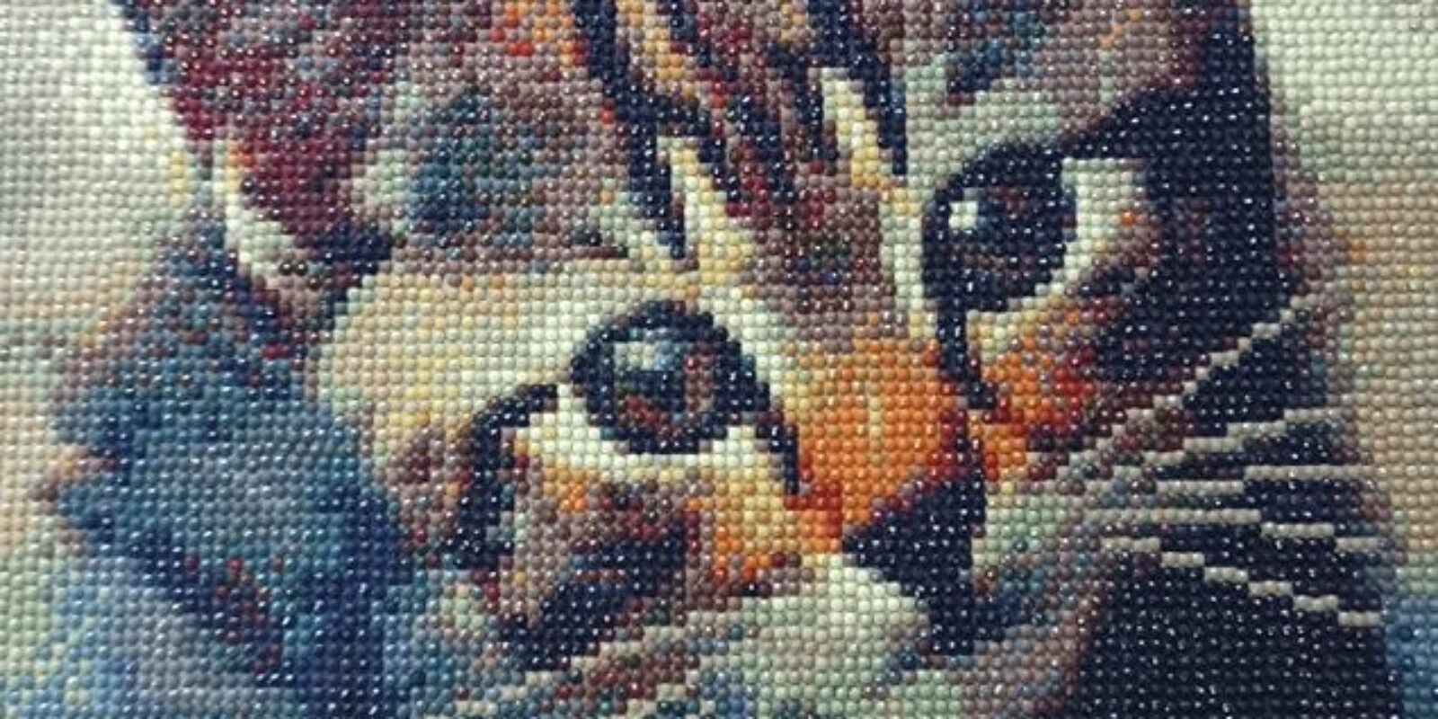 201353824_149385867141132_857447026645982818_n-001