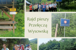 wysowa